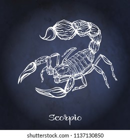 Scorpio Zodiac sign. Astrological horoscope collection. White on dark  blue, black space  background. Vector illustration