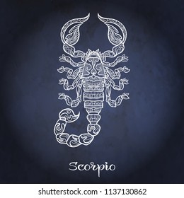 Scorpio Zodiac sign. Astrological horoscope collection. White on dark  blue, black space  background. Vector illustration