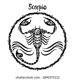 Scorpio zodiac sign design form illustration doodle drawing tattoo and  freehand typography style vector with white background 