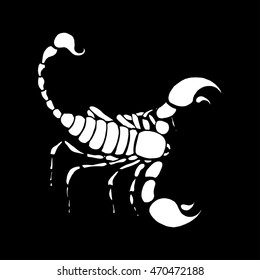 Scorpio zodiac sign in horoscope. Vector hand drawing scorpion