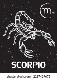 Scorpio Zodiac sign isolated on black night sky with stars background in vector illustration