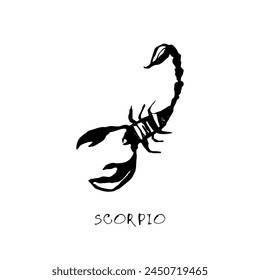 Scorpio zodiac sign, quirky horoscope icon, hand drawn vector illustration, black line art, tattoo design
