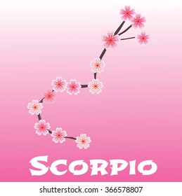 Scorpio zodiac sign. Sakura flowers. Vector