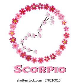 Scorpio Zodiac sign Vector Art, Stock Vector