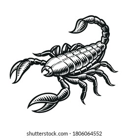 Scorpio zodiac sign vector illustration isolated on white background