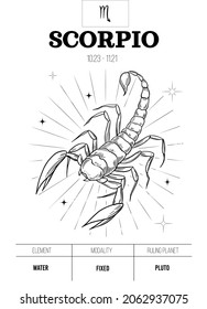 Scorpio. Zodiac simbol. Astrology sign, bull vector outline illustratoin