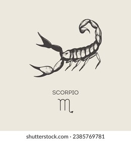 Scorpio zodiac symbol, hand drawn in engraving style. Vector retro illustration of astrological sign Scorpio.