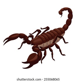 Scorpion