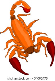 scorpion