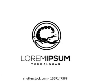 scorpion animal icon logo design silhouette