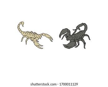 Scorpion animals hand drawn set vector illustration. Scorpions wild predator arthropods original vector graphic with outline. Bug logo drawing. Zodiac horoscope symbol.