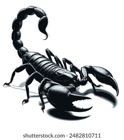 Scorpion black silhouette vector image