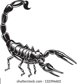 Scorpion, black and white style