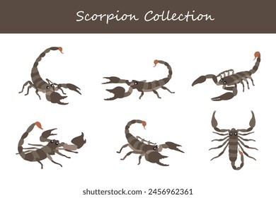 Colección Escorpión. Escorpión en diferentes poses. Ilustración vectorial.