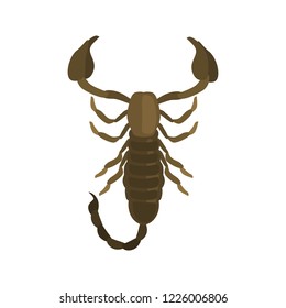 Scorpion color vector icon. Flat design