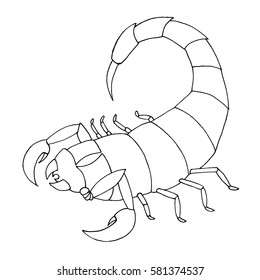 Scorpion coloring book. Vector outline illustration scorpio