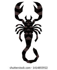 Scorpion creepy astrology sign vector illustration. Danger animal poisonous scorpio arachnid.