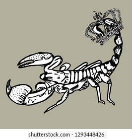 scorpion crown graphic design vector art