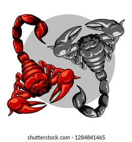 scorpion for decoration set. scorpion logo