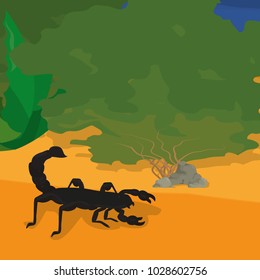 Scorpion at desert