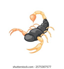 scorpion desert animal icon isolated