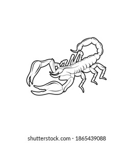 Scorpion Drawing With Outer Lines. Vector