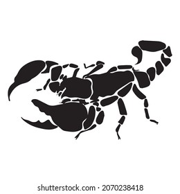 scorpion graphic design vector illustration, icon, art tattoo sketch, hand draw, use in print