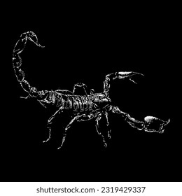 vector de dibujo de mano escorpión aislado en fondo negro.