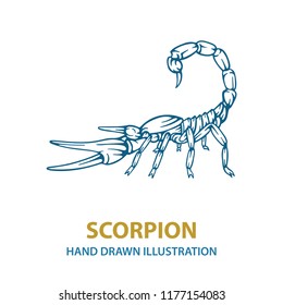 Scorpion. Hand drawn scorpion vector illustration. 
Scorpion tattoo. Vector illustration.