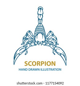 Scorpion. Hand drawn scorpion vector illustration. 
Scorpion tattoo. Vector illustration.