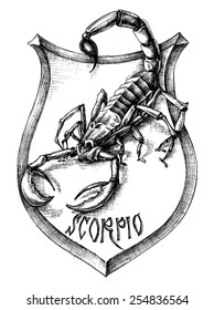 Scorpion heraldry scorpio zodiacal sign