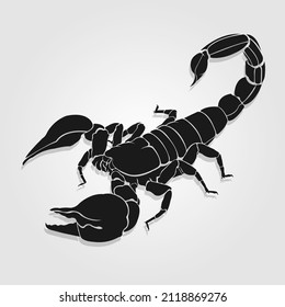Scorpion High Res Vector Image
