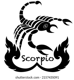 Scorpion Horoscope Scorpion Horoscope 12 Zodiac Stock Vector (Royalty ...