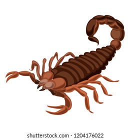 Scorpion icon. Cartoon of scorpion vector icon for web design isolated on white background