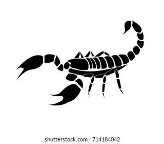 Scorpion icon- Illustration
Animal, Insect, Sign,  Animal Wildlife