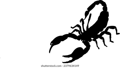 scorpion icon set vector design graphic illustration, vector icons for logos