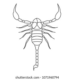 Scorpion icon. Simple element illustration. Scorpion symbol design from Insect collection set. Can be used in web and mobile on white background