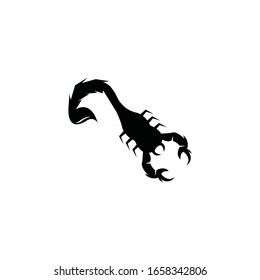 Scorpion icon and symbol vector illustration on white background