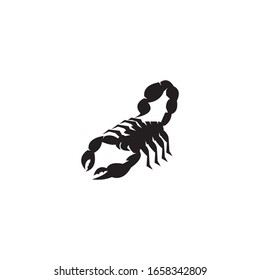 Scorpion icon and symbol vector illustration on white background