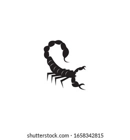 Scorpion icon and symbol vector illustration on white background
