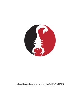 Scorpion icon and symbol vector illustration on white background