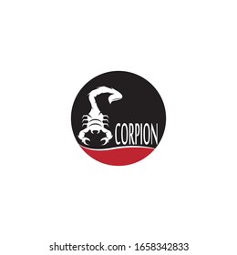 Scorpion icon and symbol vector illustration on white background