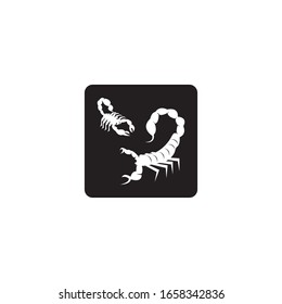 Scorpion icon and symbol vector illustration on white background