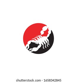 Scorpion icon and symbol vector illustration on white background