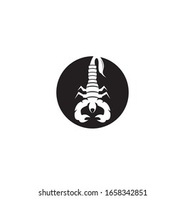 Icono de escorpión e ilustración vectorial de símbolo en fondo blanco