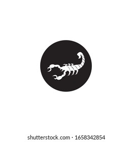 Scorpion icon and symbol vector illustration on white background