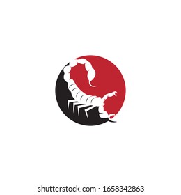 Scorpion icon and symbol vector illustration on white background