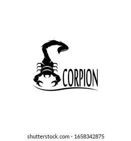 Scorpion icon and symbol vector illustration on white background