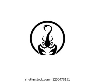 Scorpion icon vector illustration