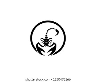 Scorpion icon vector illustration